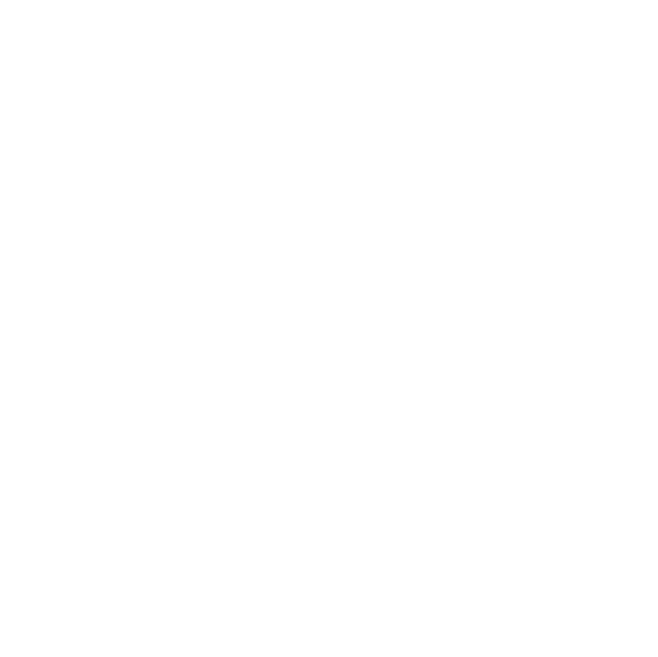 Pejitex